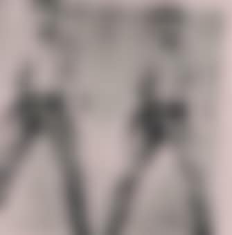 Andy Warhol, Two Elvis 1964 (preview)