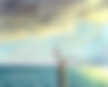 Two terns at sea (preview)