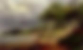 Trees growing on the waterside (preview)