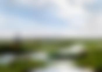Skagens Hede ved Brovandene (preview)