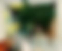 Hochimort (preview)
