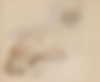 Katze mit Fisch (preview)