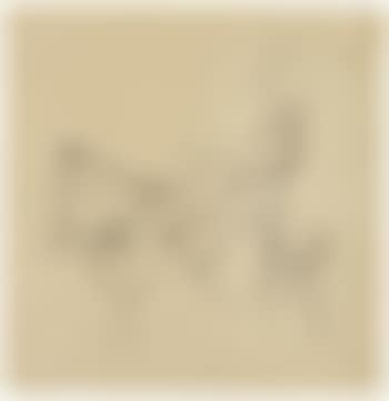 Rotwild (preview)