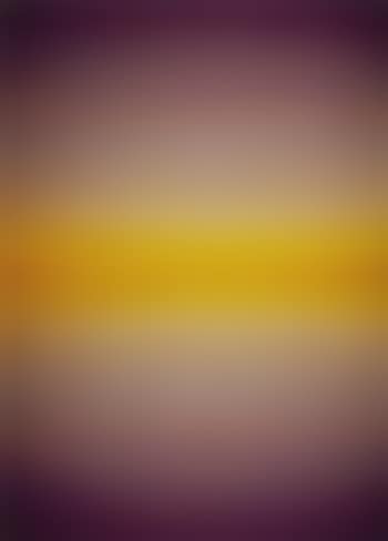 Untitled (Tristes Tropiques) (preview)