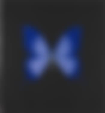 Unique Blue Butterfly (preview)