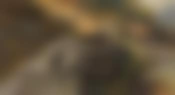 Schafe queren eine Fluss (preview)