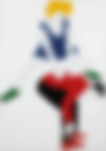 Il salto (preview)