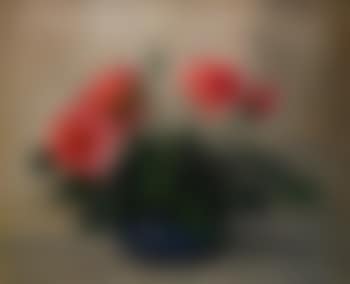 Stilleben med rosor (preview)