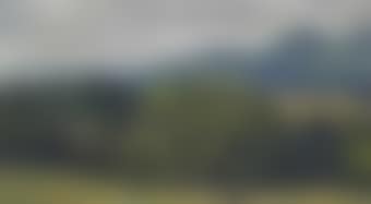 Landscape with Trees (preview)