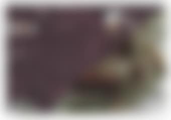Untitled (11 November 1999) (preview)