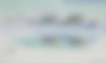 A snow covered landscape (preview)