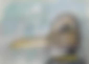 Untitled (preview)