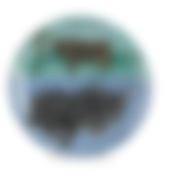 Torros (preview)