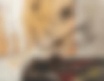 Oribasus (preview)