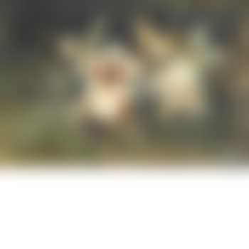 Manhunt (preview)