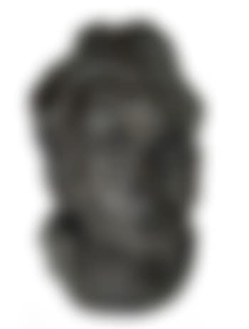 Selbstbildnis (preview)