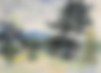 Old pine (preview)