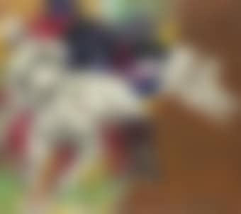 Untitled (Horses) (preview)
