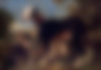 Une chienne et ses petits sur fond de paysage (preview)