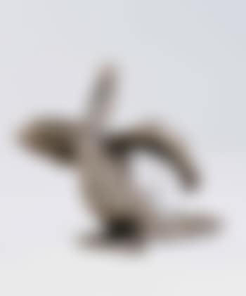 Pelicano (preview)