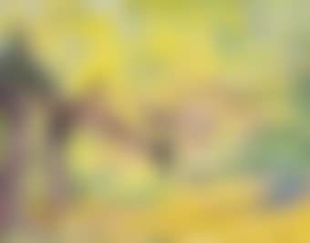 Epping Forest (preview)