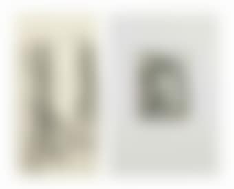 (i) Flasche  (ii) Baum (preview)