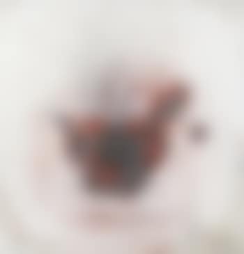 Nature Morte (preview)