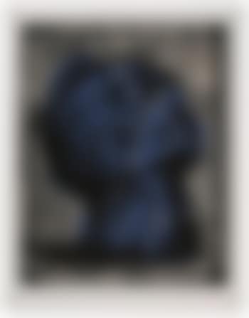 Blue head (preview)