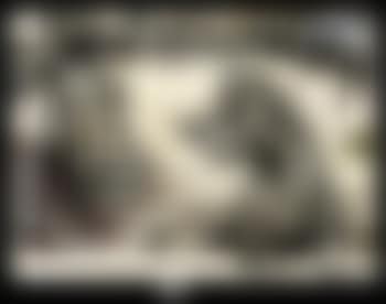 Anti-Waste (preview)
