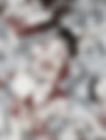 PDX Red 02 (preview)