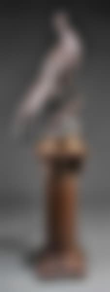 Faisant sur un rocher (preview)