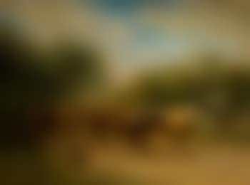 A herd of cattle along a country road (preview)