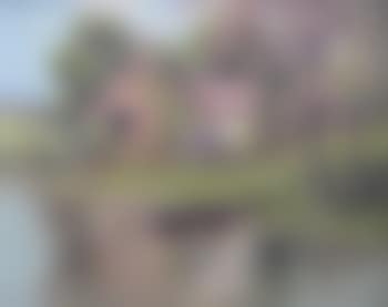 Cottage By A Lake with A Rowboat (preview)