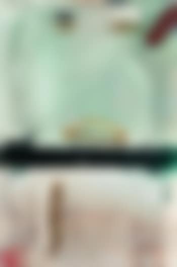 Snady cat (preview)