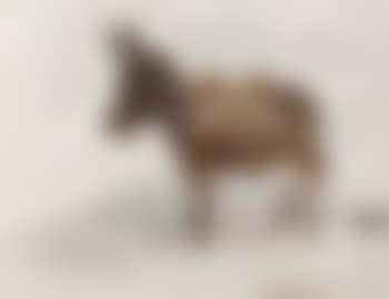 Esel (preview)