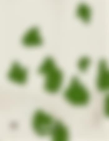 Untitled (Green Marks and Black Lines) (preview)