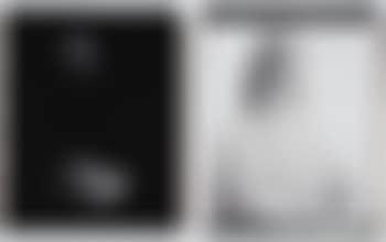 Light and Dark (diptych) (preview)