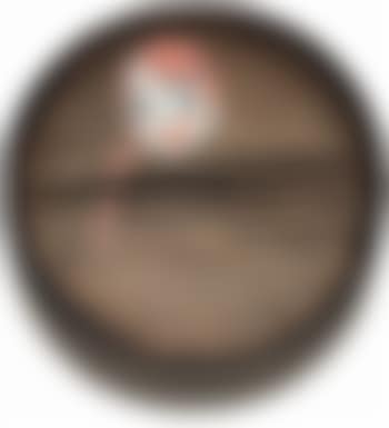 This is a Salada (preview)