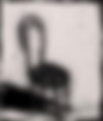 Bentwood chair (preview)