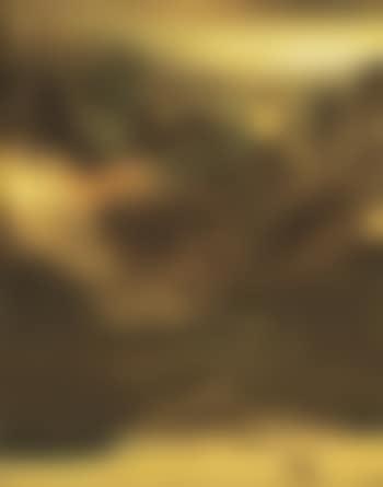 No. 526 (preview)