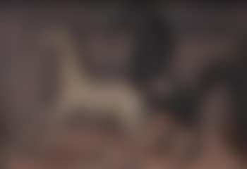 Horse (preview)