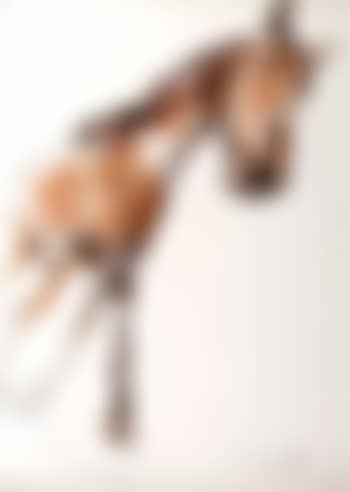Horse (preview)