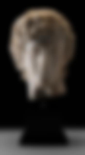 Apollo (preview)