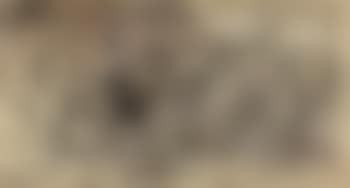 Composition (preview)