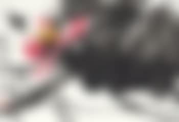 Lotuses And Dragonfly (preview)