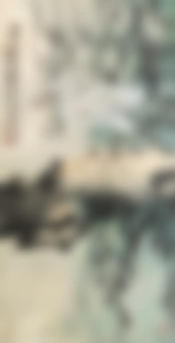 White Egret (preview)