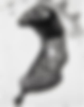 Chicken (preview)