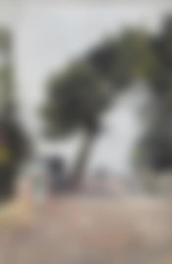 Quai de Paris (preview)