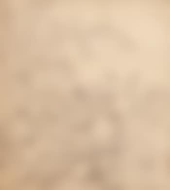 Bacchanale (preview)