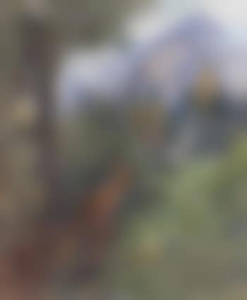 De Hubertushirsch (preview)